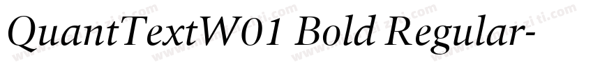 QuantTextW01 Bold Regular字体转换